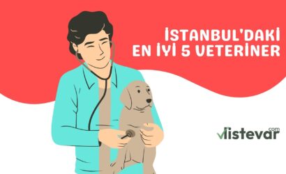 istanbuldaki-en-iyi-5-veteriner