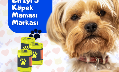 En İyi 5 Köpek Maması Markası