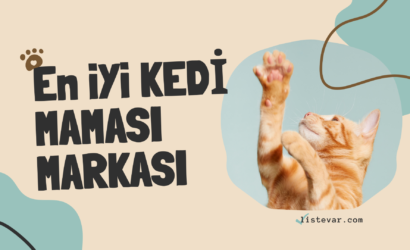 En İyi Kedi Maması Markaları