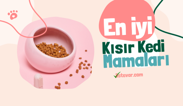 en iyi kısır kedi mamaları markaları listesi