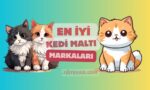 En İyi Kedi Maltı Markaları - Öneriler