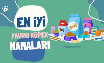 En Popüler Yavru Köpek Mamaları